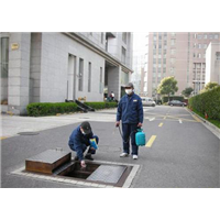 邵阳杀虫公司