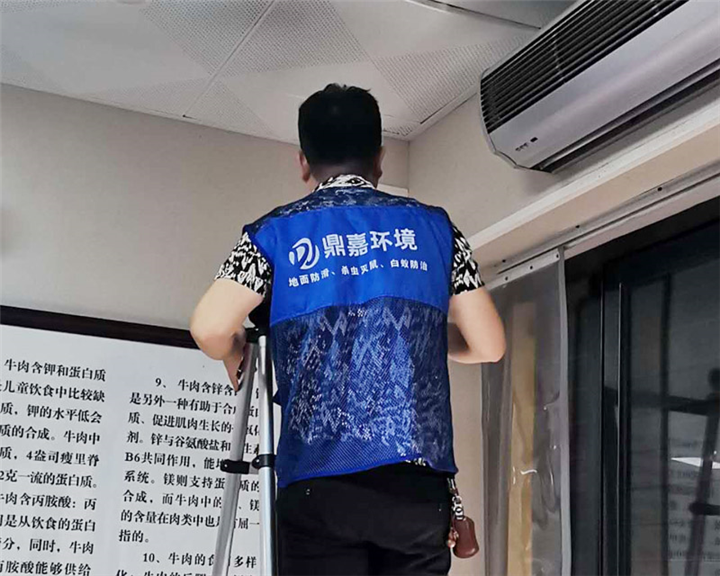 邵阳灭鼠灭白蚁