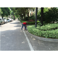 邵阳灭白蚁