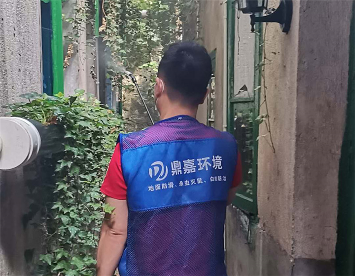邵阳灭鼠