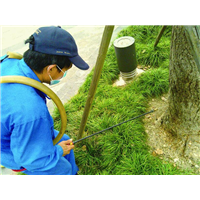 邵阳灭鼠公司