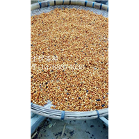 土茯苓种子价格&土茯苓种子批发。土茯苓