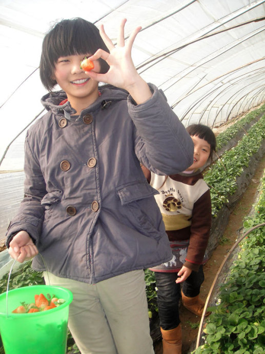glcmm.com贵港草莓