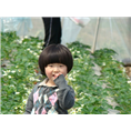 glcmm1.com柳州草莓