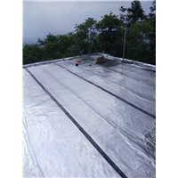 江门自建房补漏堵漏上门服务电话多少