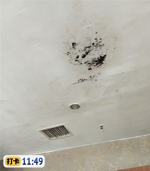江门江海区洗手间防水堵漏一平方价格怎么算