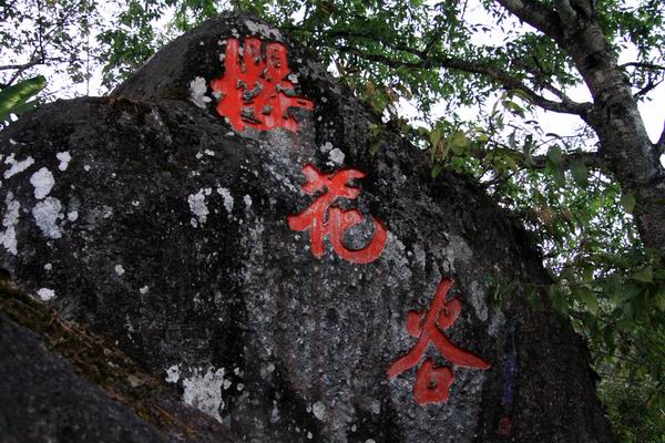 保山便宜的包车电话 