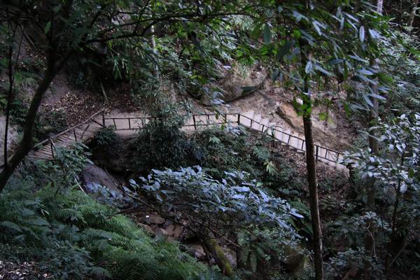 腾冲旅游包车网. 
