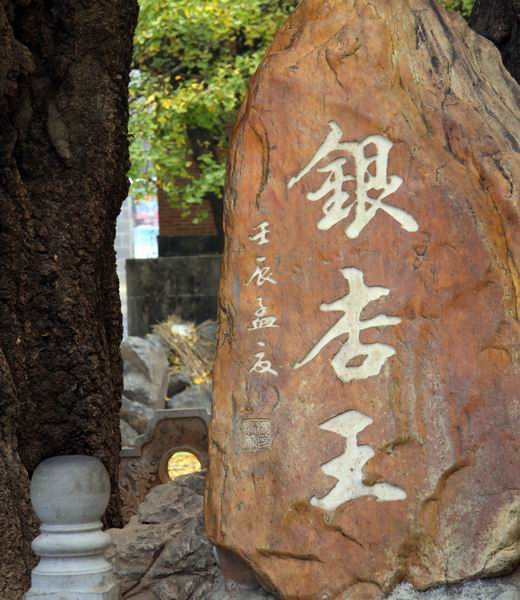 腾冲包车电话 