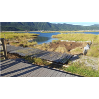 北海湿地--一起划草排 