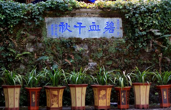 腾冲旅游电话多少 