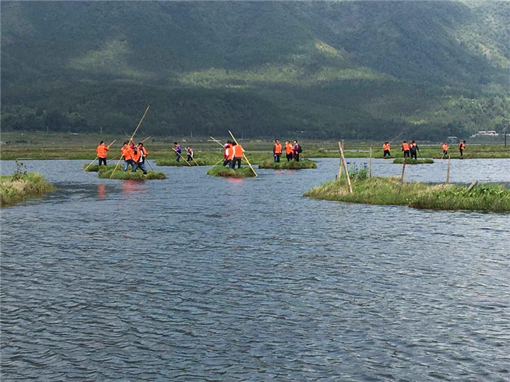 北海湿地--草长平湖白鹭飞 
