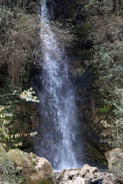 腾冲旅游包车师傅 