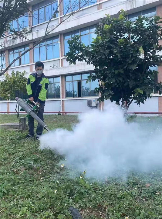 钦州白蚁防治