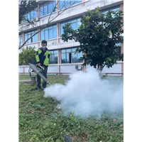 钦州白蚁防治