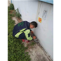 北海灭鼠