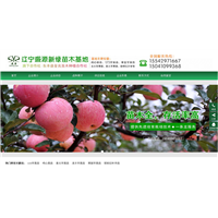 辽宁盛源新绿苗木基地_龙岩网络公司 