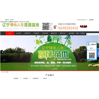 辽宁绿化人生草坪苗木基地 