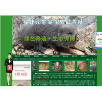 福建龙岩冠豸竹鼠养殖 