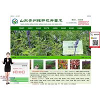 山东青州铭轩花卉苗木 