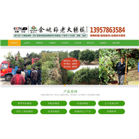 浙江杨梅苗木基地（梅老大）_龙岩网络公司 