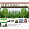 汉中红军千亩苗木基地