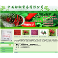 中英辣椒贸易有限公司
