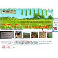 辽宁省铁岭县李千户镇侯兴龙草坪基地 