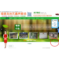 福建龙岩艺鑫养殖场 