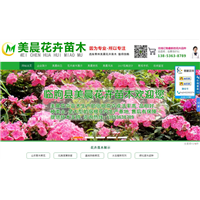 山东青州市美晨花卉苗木合作社 