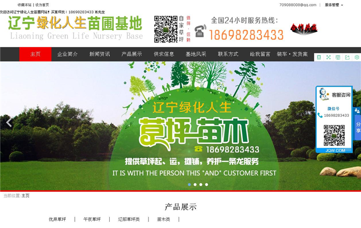 辽宁绿化人生草坪苗木基地 