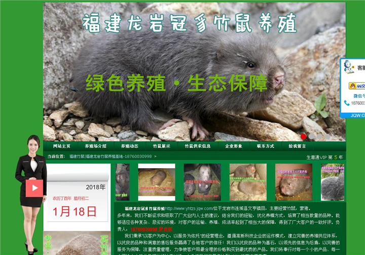 福建龙岩冠豸竹鼠养殖 