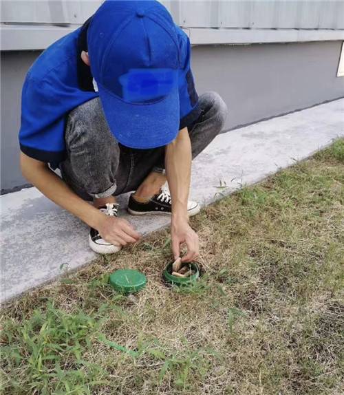 胶州厨房杀白蚁公司电话是多少