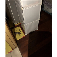 胶州理发店灭鼠灭虫灭白蚁服务电话是多少