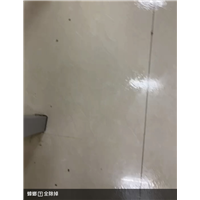 胶州食堂灭鼠灭虫灭白蚁服务咨询电话多少