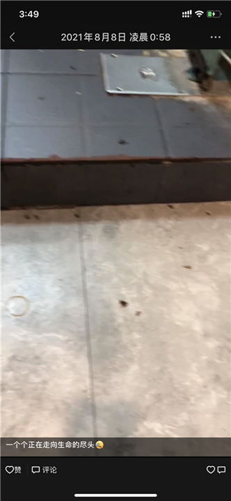 胶州农家乐杀鼠杀虫杀白蚁价格贵吗