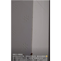 胶州招待所灭鼠哪个队伍好