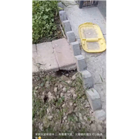 胶州宾馆灭虫灭白蚁灭蟑螂服务电话多少