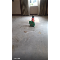 胶州厨房杀鼠服务电话是多少