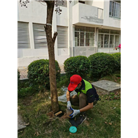 胶州餐厅杀鼠杀虫杀白蚁公司哪里有