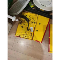 胶州美容院除四害服务咨询电话多少