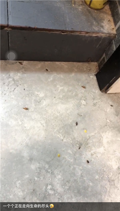 胶州健身房杀白蚁电话是多少
