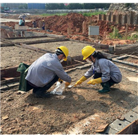 胶州公园杀鼠服务一次要多少钱