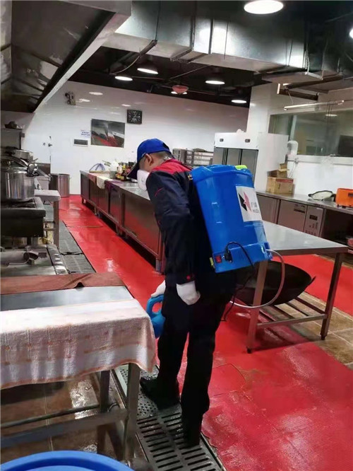胶州冷饮店白蚁防治上门服务电话