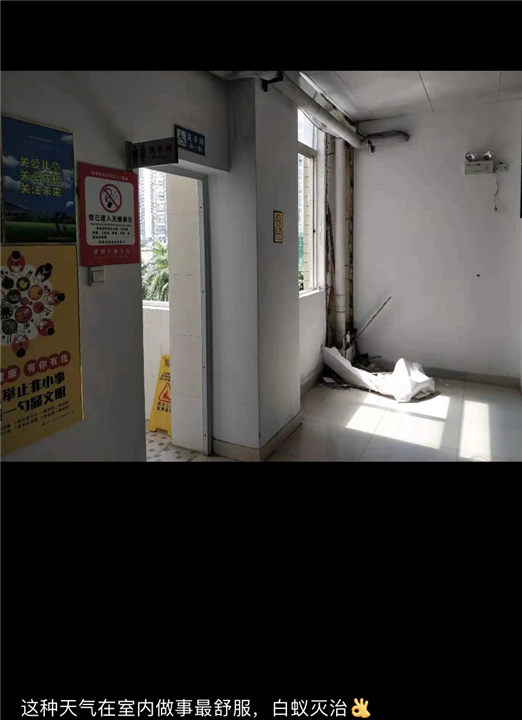 胶州美容院杀蟑螂杀鼠杀虫公司哪家服务好