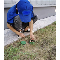 胶州厨房杀白蚁公司电话是多少