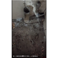 胶州宾馆灭白蚁哪家公司好