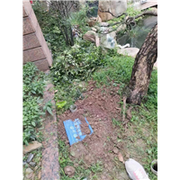 胶州学校灭蟑螂上门服务电话