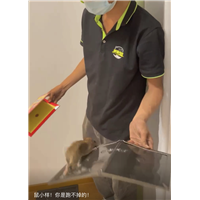 胶州工厂杀蟑螂队伍电话是多少