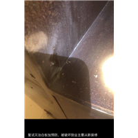 胶州民宿杀蟑螂服务咨询电话多少